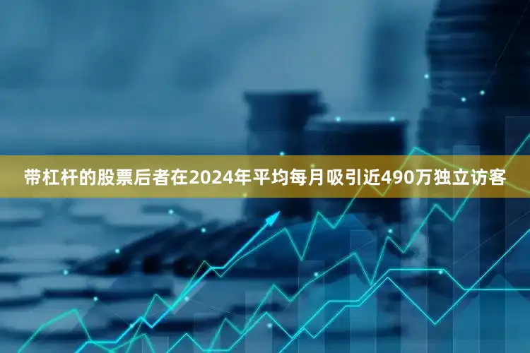 带杠杆的股票后者在2024年平均每月吸引近490万独立访客