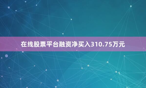 在线股票平台融资净买入310.75万元