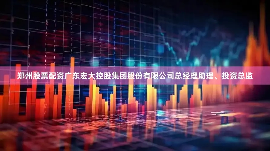 郑州股票配资广东宏大控股集团股份有限公司总经理助理、投资总监