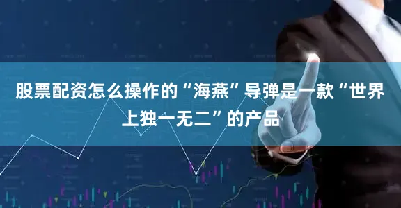 股票配资怎么操作的“海燕”导弹是一款“世界上独一无二”的产品